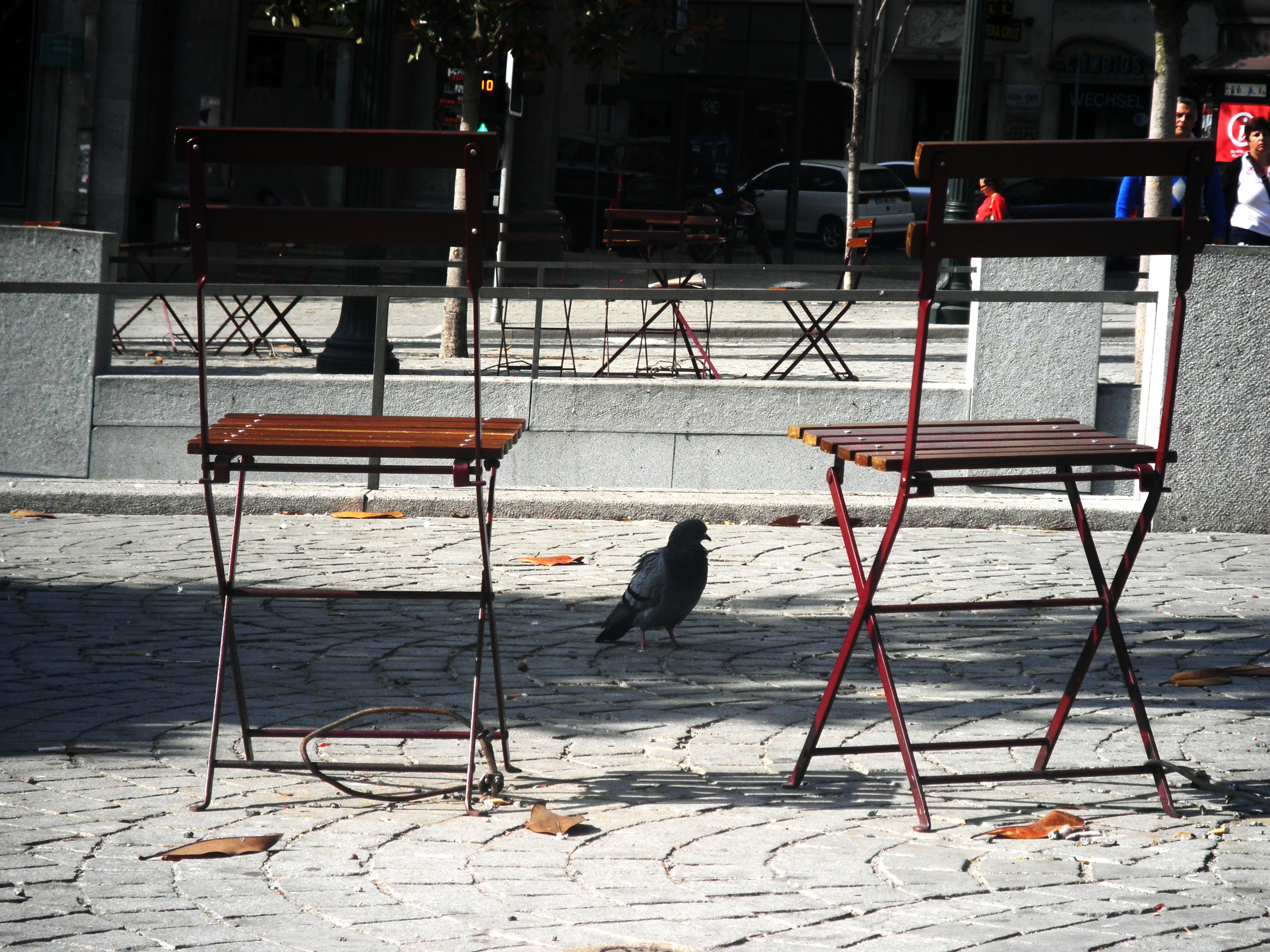 “Cadeiras presas às histórias, aos olhares, à gente do Porto”